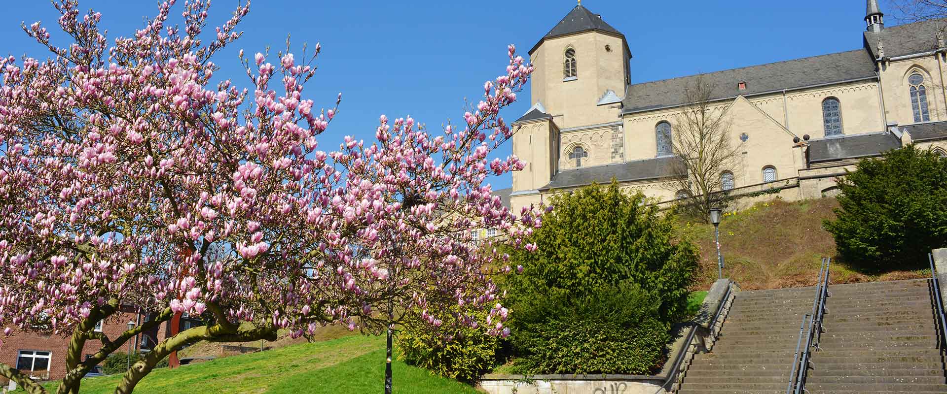 ihr immobilienmakler für mönchengladbach