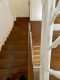 Wohnen und Arbeiten unter einem Dach - Sanierter Altbau mit ganz besonderem Charme! - Treppenhaus
